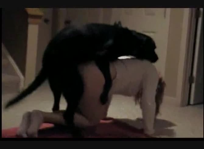 Video :Black dog fucking the pussy of a beautiful teen beastiality lover